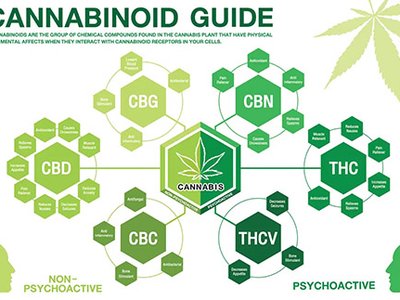 10 Cannabinoids